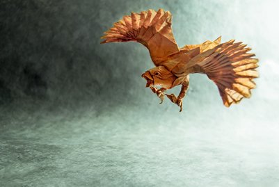 Flying Eagle