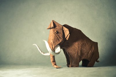 Wooly Mammoth